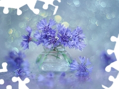 cornflowers, Flowers, vase, Blue