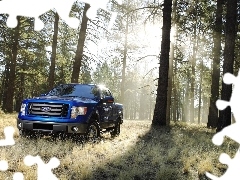 grass, trees, Ford, viewes, forest, blue, Ranger