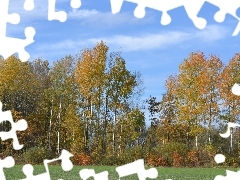 Blue, Sky, trees, viewes, color