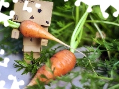 Danbo, carrots, blur, garden