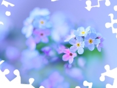 Forget, Flowers, blur, Blue