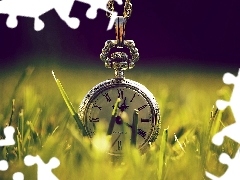 Watch, grass, blur, Retro