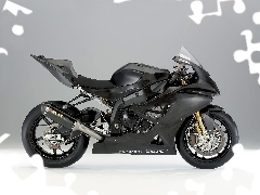 BMW S1000RR, carbon