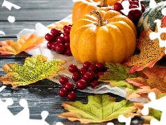 blueberries, boarding, Leaf, Red, pumpkin