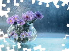 purple, vase, Bokeh, Astra