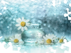 White, decoration, Bokeh, vase, Flowers, chamomile