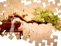 Bonsai, table, sapling