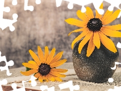 Vase, Book, Flowers, Rudbeckia, Yellow