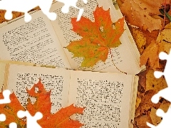 Book, autumn, Leaf