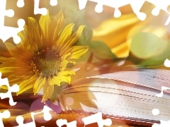 Sunflower, Book