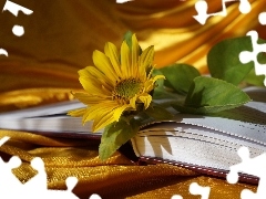 Sunflower, Book