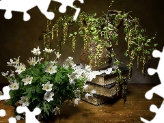 Anemones, composition, birch, Books, Twigs, Flowers