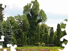 botanical, Poznań, viewes, Garden, trees