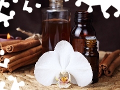 White, vanilla, Bottles, orchid