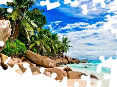 Palms, rocks, sea, boulders, Seychelles, VEGETATION, clouds