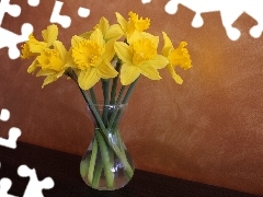 Daffodils, bouquet