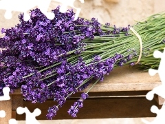 lavender, bouquet