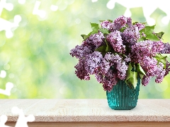 Vase, bouquet, without, Syringa, Flowers