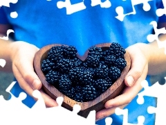 bowl, Women, blackberries