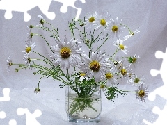 bowl, bouquet, Camomile