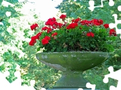 bowl, geraniums, stone