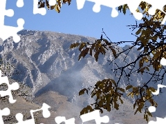 Leaf, Mountains, branch pics