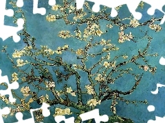 in, Bloom, Almond, Branches, Vincent Van Gogh