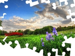 viewes, Meadow, bridges, Irises, Red, trees