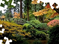 japanese, autumn, bridges, Garden