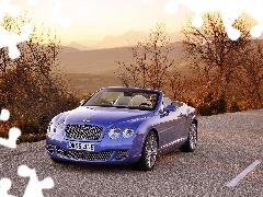 skin, Bentley Continental GTC, Bright