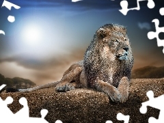 Lion, sun, Rocks, glamour