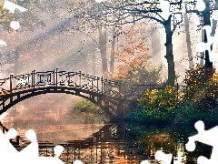 bridges, trees, rays, viewes, Park, brook, sunny