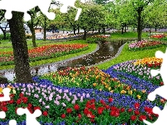 brook, Tulips, trees, viewes, Park