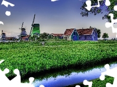 Windmills, grass, brook, Houses