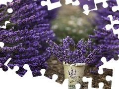 lavender, Bucket