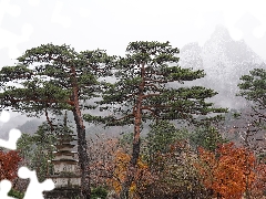 Fog, South Korea, Buldings, Mountains, pine