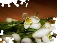 snowdrops, small bunch