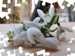 snowdrops, small bunch