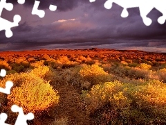 canyon, twilight, Bush, steppe