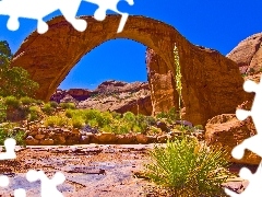 canyon, Bush