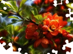 Bush, Fractalius, Red, Flowers, quince