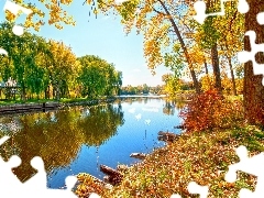 River, viewes, Leaf, willow, trees, Bush, reflection