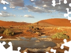 Bush, Desert, water