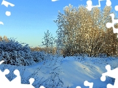 winter, viewes, bushes, trees