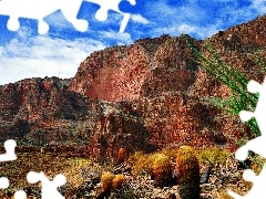 layers, canyon, Cactus, bed-rock