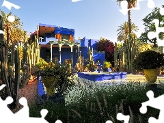 Cactus, villa, Africa, Maroko, Garden, fountain