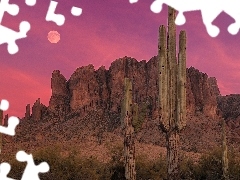 west, canyon, Cactus, sun