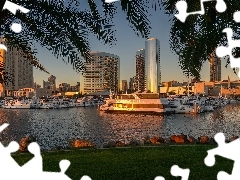 California, San Diego, Yachts, Palms, port, USA