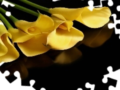 Yellow, Calla