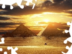 Camel, Pyramids, Desert